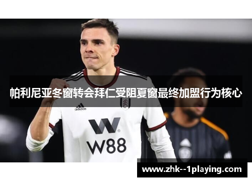 帕利尼亚冬窗转会拜仁受阻夏窗最终加盟行为核心 帕利尼亚冬窗转会拜仁受阻夏窗最终加盟行为核心