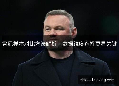 鲁尼样本对比方法解析,数据维度选择更显关键 鲁尼样本对比方法解析,数据维度选择更显关键